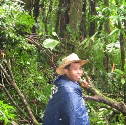 Hike Enrique forest