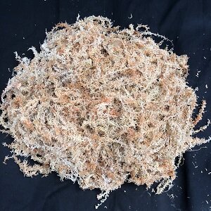 Sphagnum moss